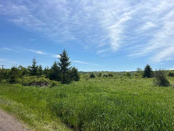 20 Acres of Land for Sale in Farmersville Station, New York