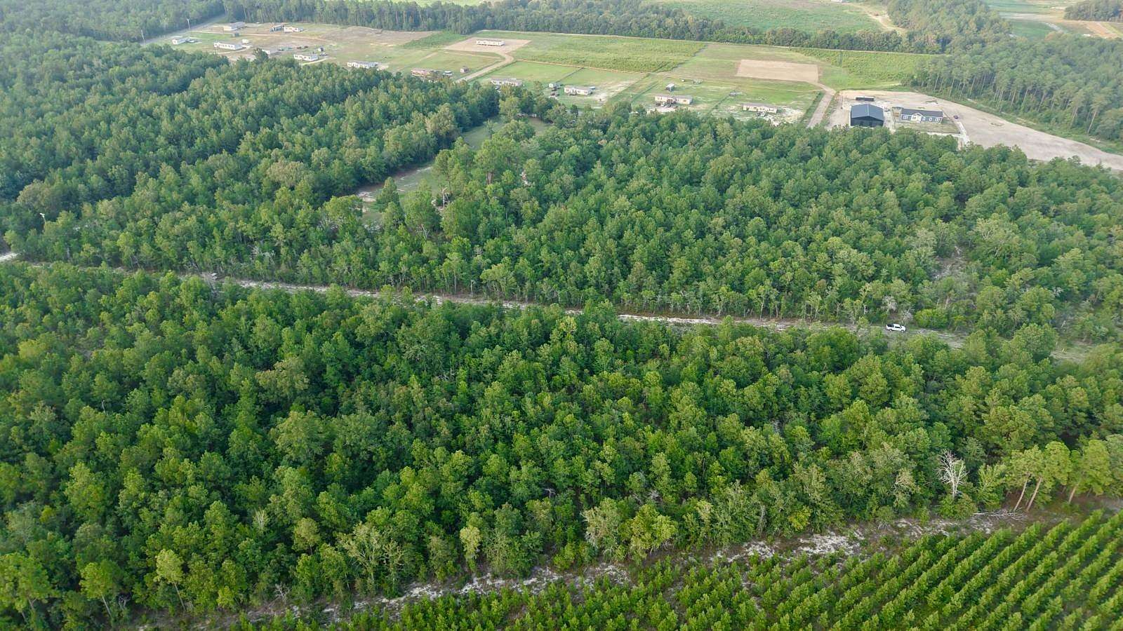 9.53 Acres of Land for Sale in Williston, South Carolina