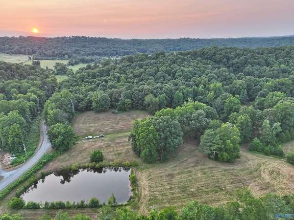 167 Acres of Recreational & Residential Land for Sale in Valley Head, Alabama