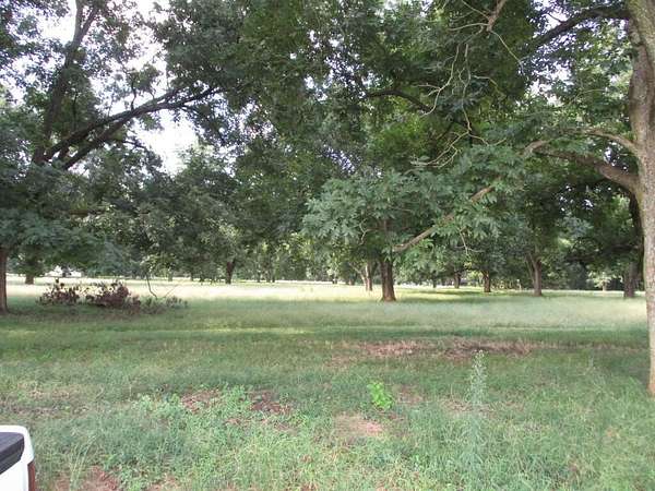 129 Acres of Recreational & Residential Land for Sale in Americus, Georgia