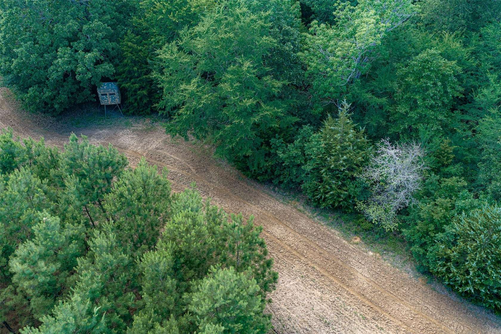 180 Acres of Recreational Land for Sale in Tennessee Colony, Texas