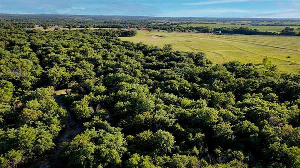 67.7 Acres of Land for Sale in Poolville, Texas