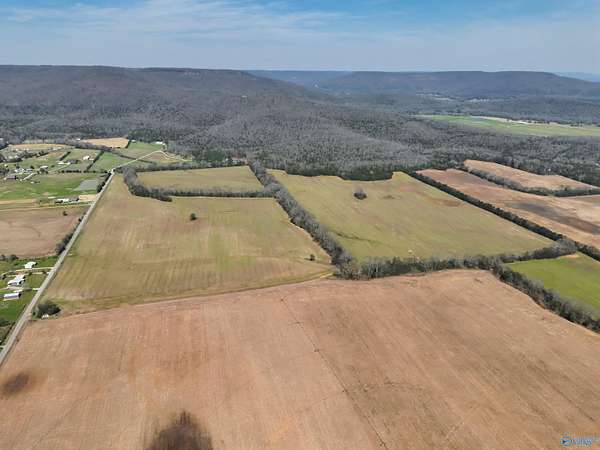 160 Acres of Land for Sale in Scottsboro, Alabama