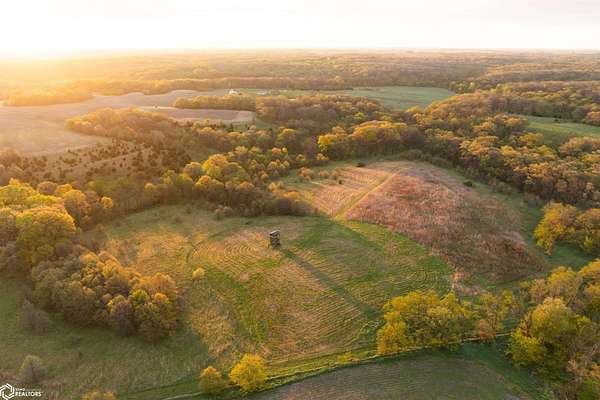 99 Acres of Land for Sale in Birmingham, Iowa