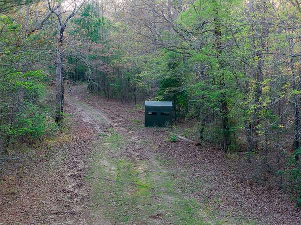 299 Acres of Land for Sale in Ore City, Texas