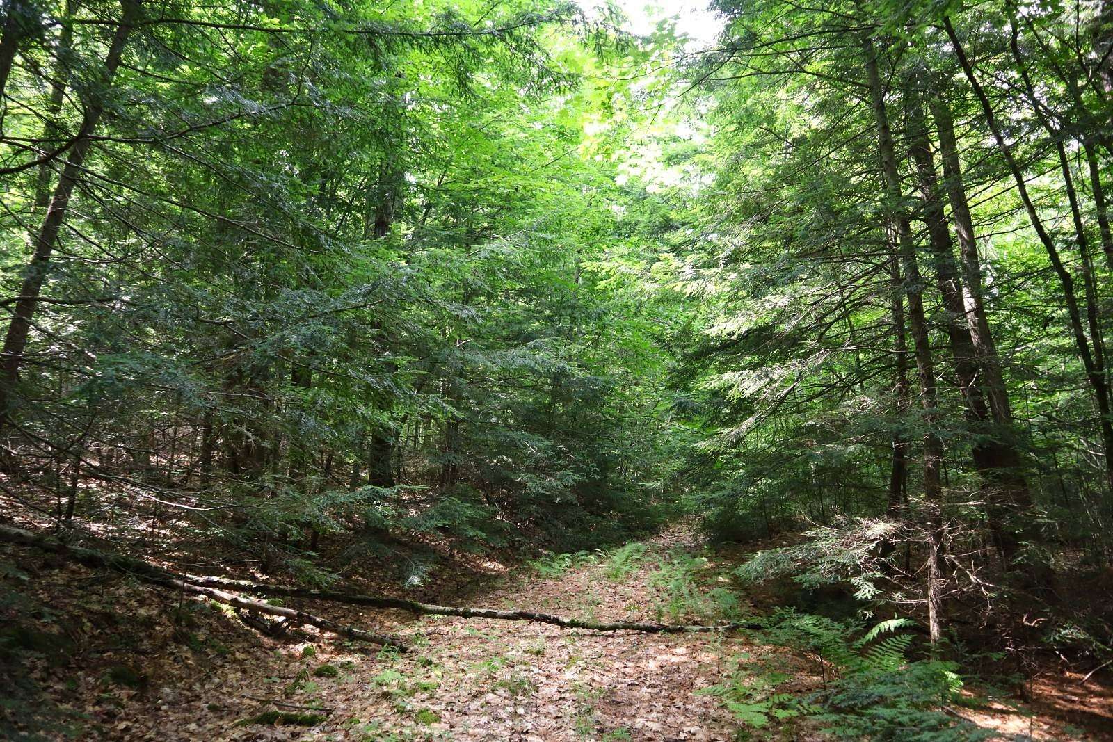 59 Acres of Recreational Land for Sale in Thurman, New York