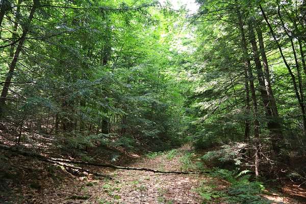 59 Acres of Recreational Land for Sale in Thurman, New York