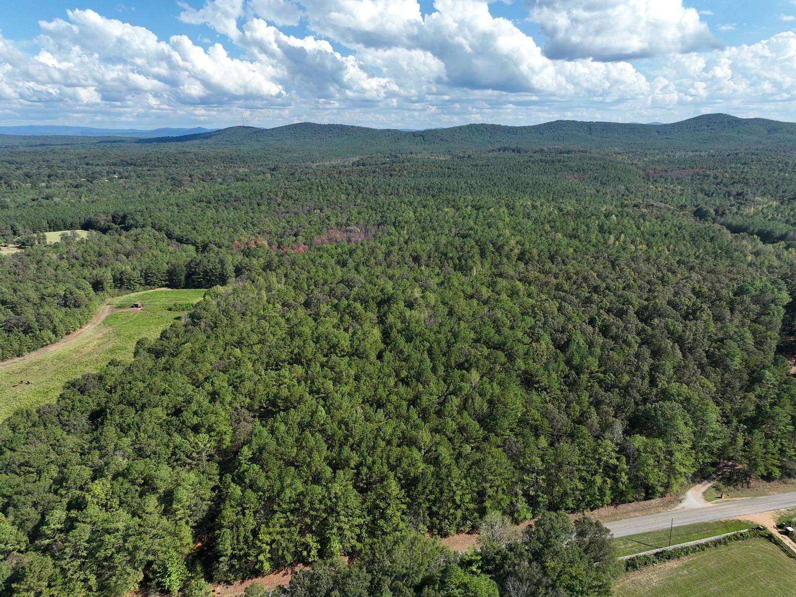 87.4 Acres of Recreational & Residential Land for Sale in Talladega, Alabama