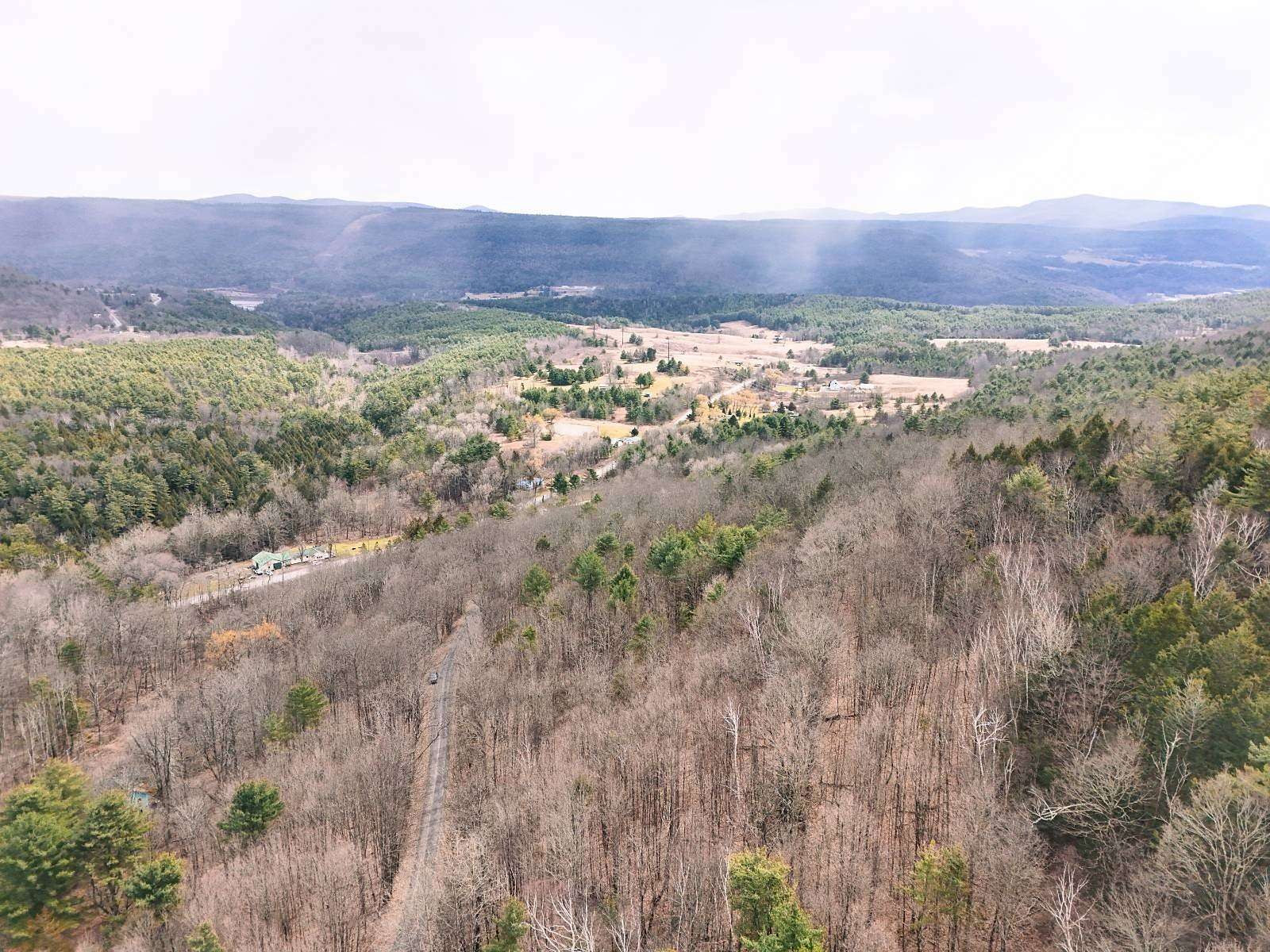 67.2 Acres of Recreational Land with Home for Sale in Stamford, New York