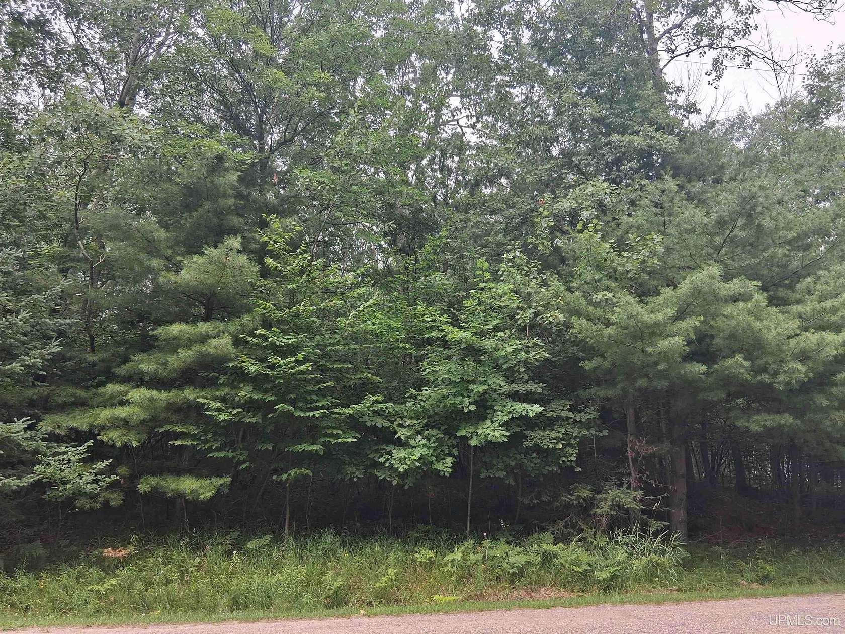 2.5 Acres of Residential Land for Sale in Vulcan, Michigan