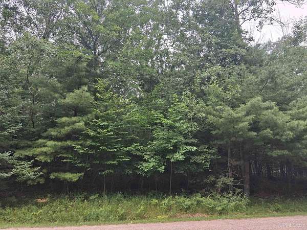 2.5 Acres of Residential Land for Sale in Vulcan, Michigan
