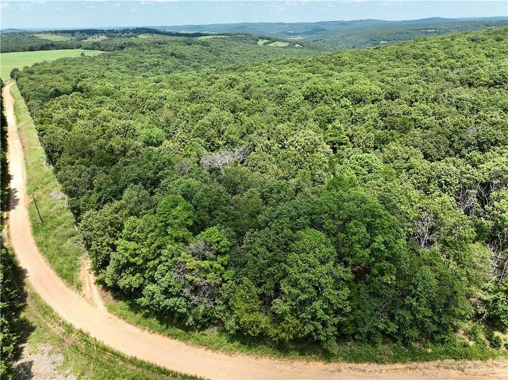 13.8 Acres of Recreational & Residential Land for Sale in Witter, Arkansas
