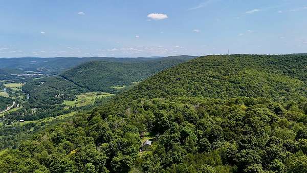 50.6 Acres of Recreational Land for Sale in Walton, New York