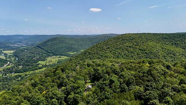 50.6 Acres of Recreational Land for Sale in Walton, New York