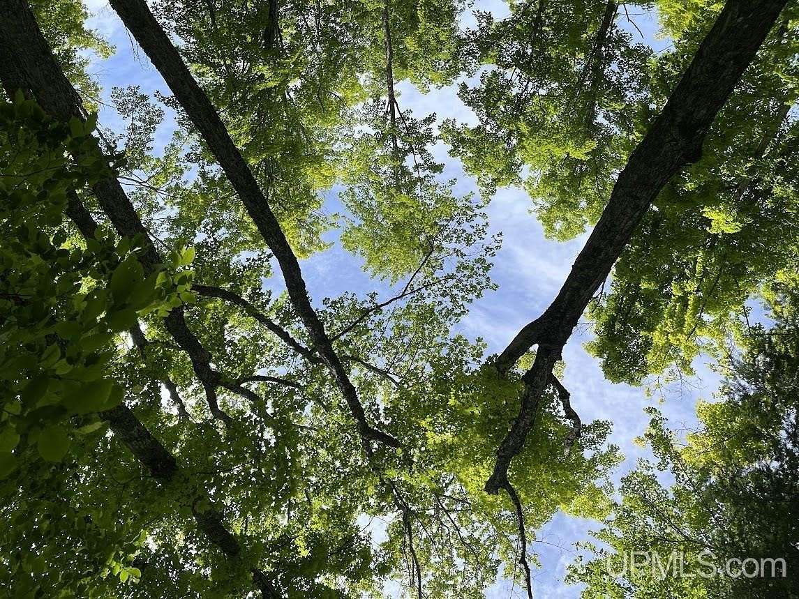 40 Acres of Recreational Land for Sale in Twin Lakes, Michigan