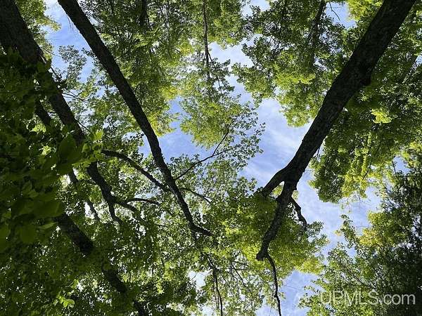 40 Acres of Recreational Land for Sale in Twin Lakes, Michigan