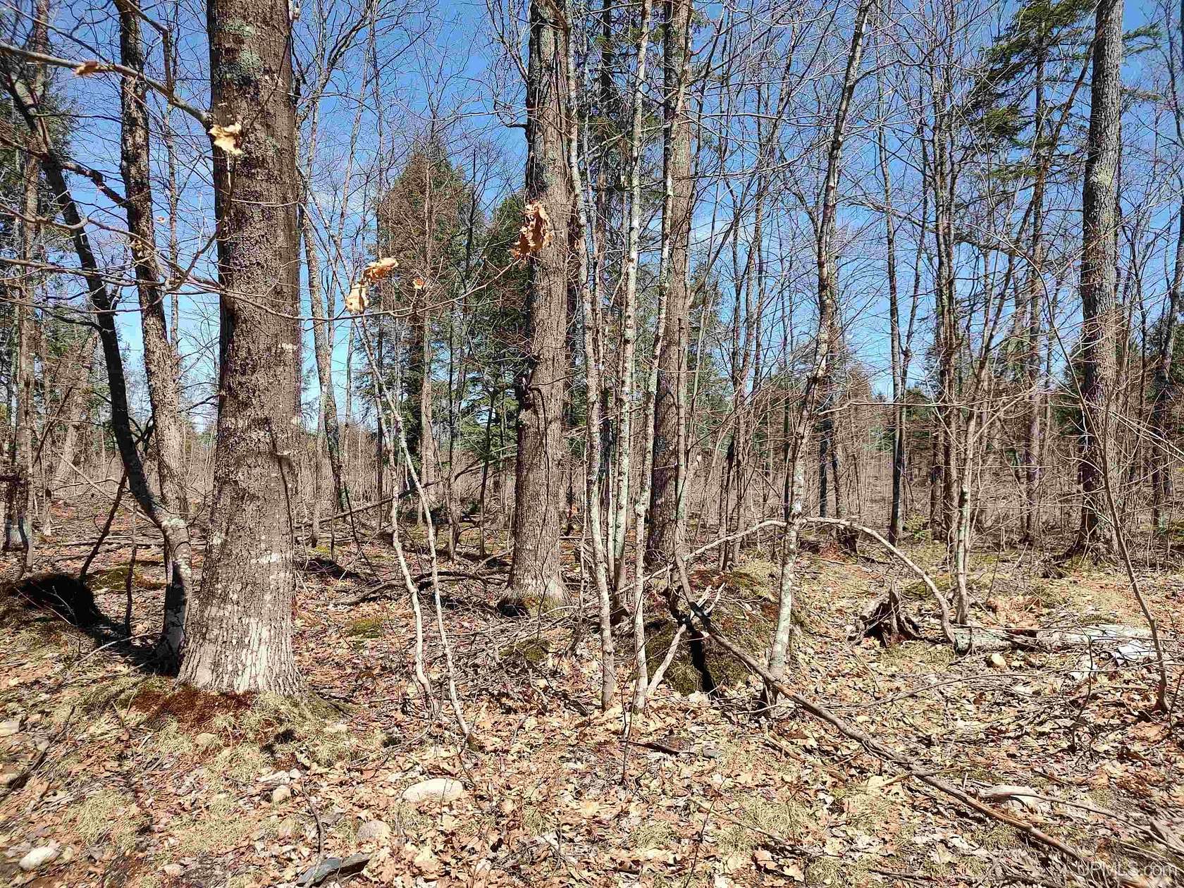 40 Acres of Recreational Land for Sale in Skanee, Michigan