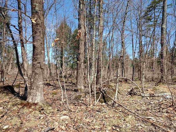 40 Acres of Recreational Land for Sale in Skanee, Michigan