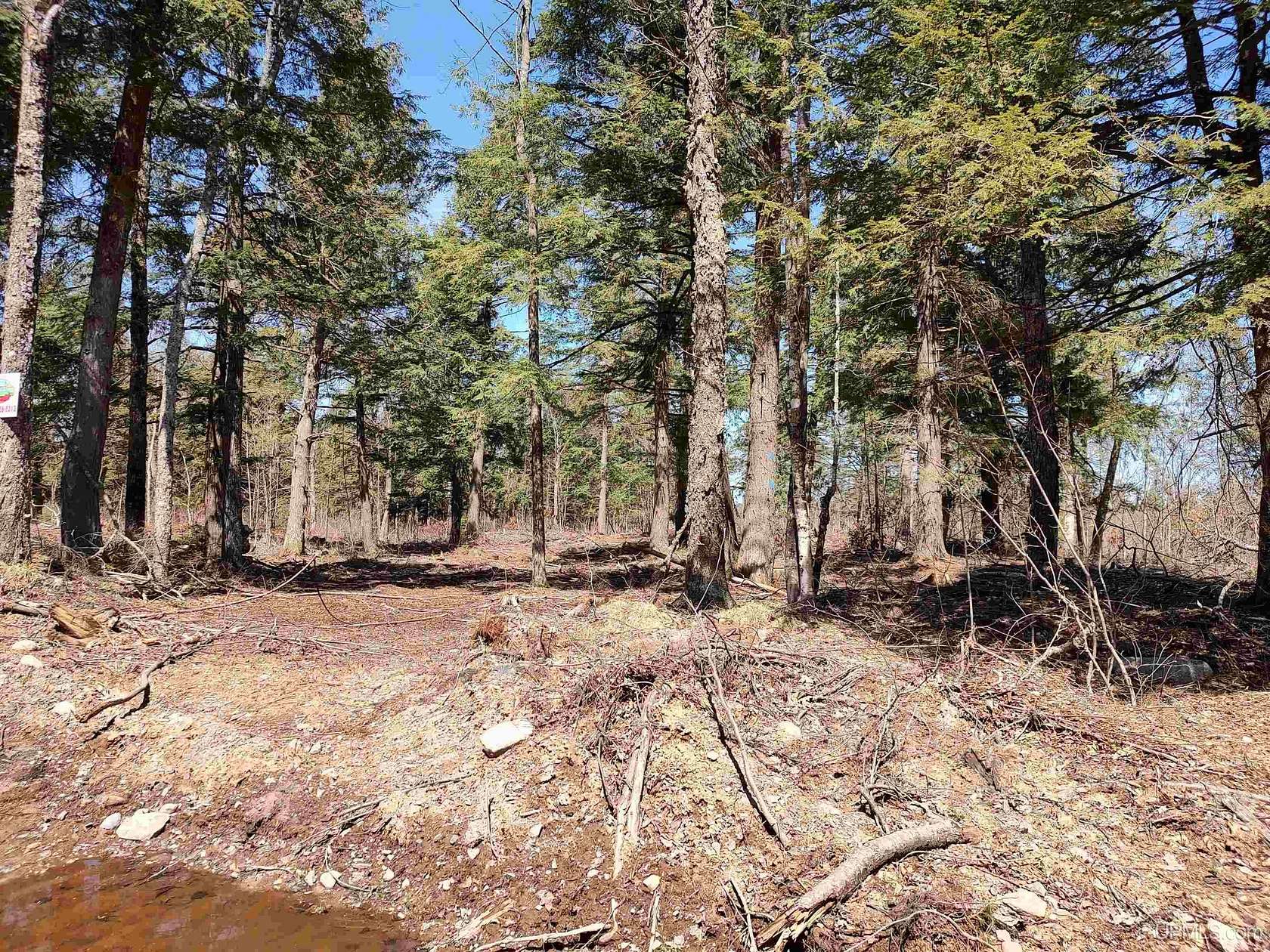 40 Acres of Recreational Land for Sale in Skanee, Michigan