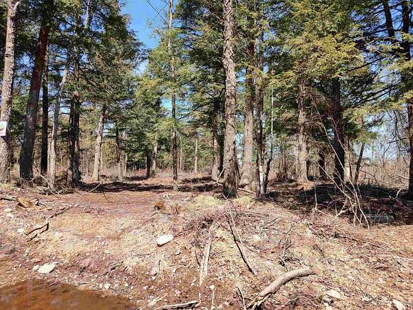 40 Acres of Recreational Land for Sale in Skanee, Michigan