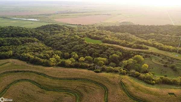 116 Acres of Land for Sale in Hamburg, Iowa