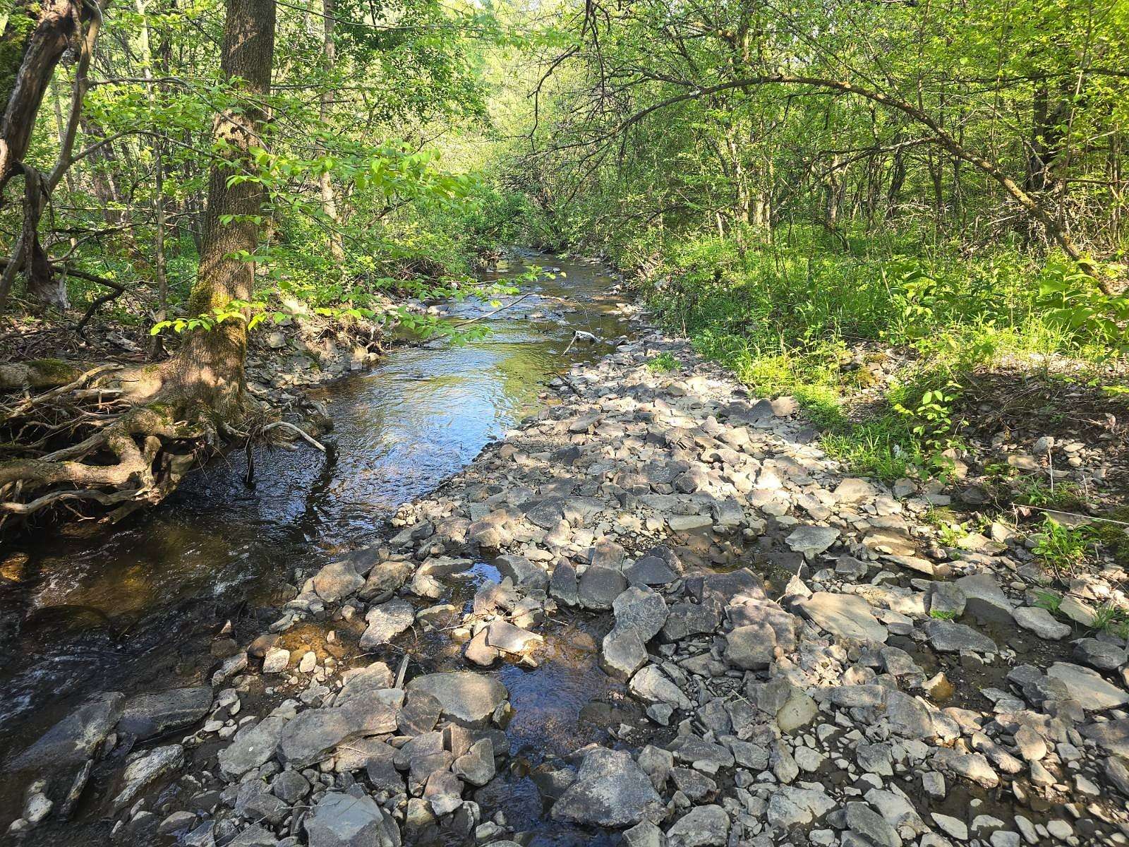 72.3 Acres of Land for Sale in New Berlin, New York