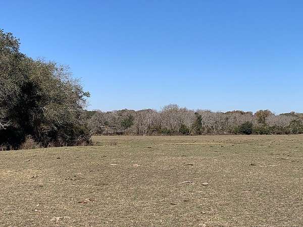 64 Acres of Agricultural & Residential Land for Sale in Weimar, Texas