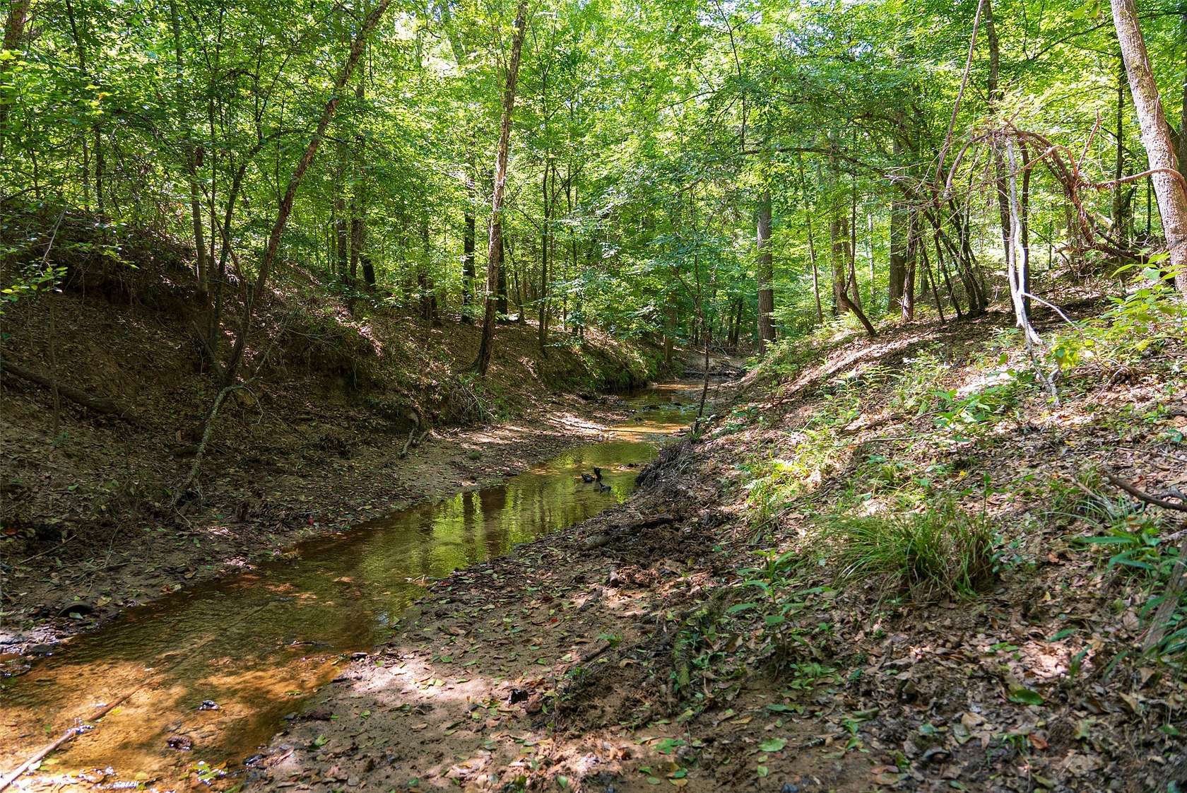 6 Acres of Residential Land for Sale in Gladewater, Texas