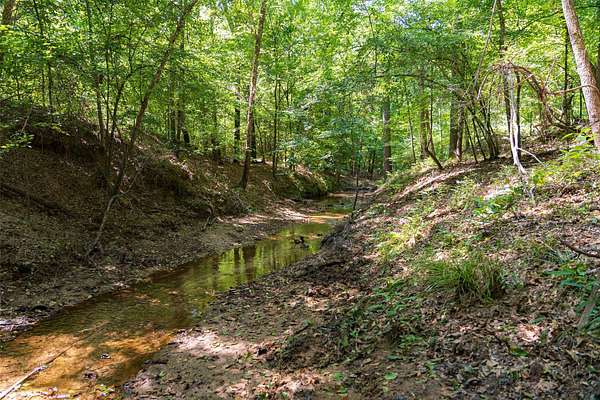 6 Acres of Residential Land for Sale in Gladewater, Texas