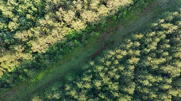 192 Acres of Recreational Land for Sale in Hazlehurst, Mississippi