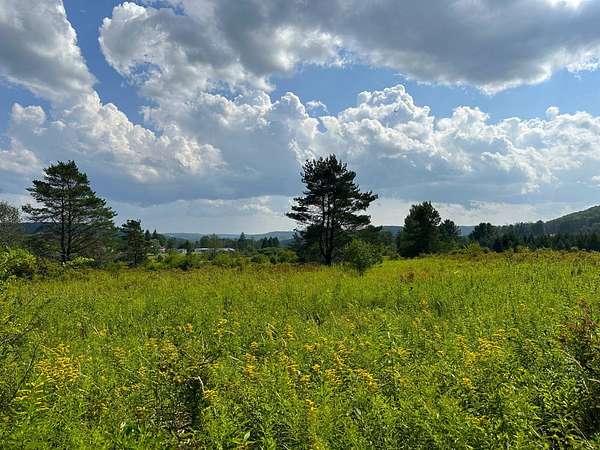 21 Acres of Recreational & Residential Land for Sale in Friendship, New York