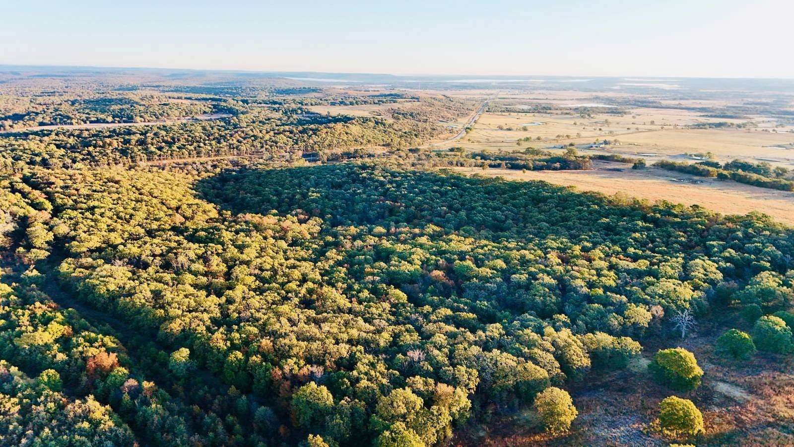 40 Acres of Recreational Land for Sale in Dustin, Oklahoma