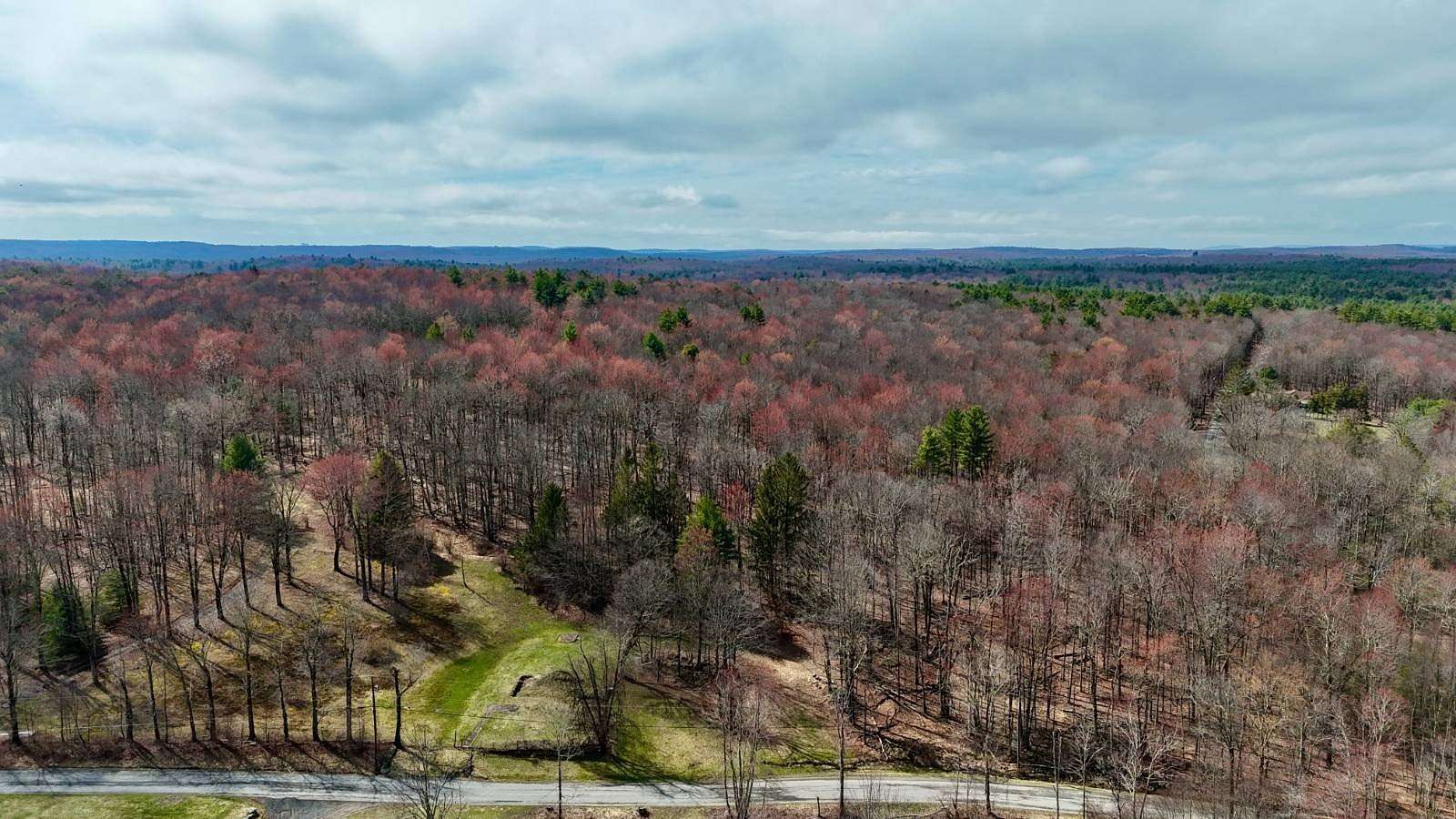 171 Acres of Recreational & Residential Land for Sale in Wawarsing, New York