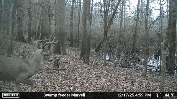 151 Acres of Recreational Land for Sale in Holly Grove, Arkansas