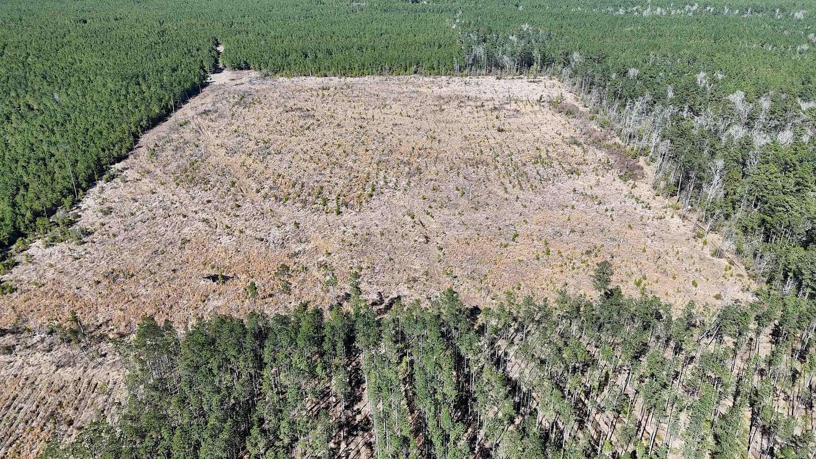 20 Acres of Recreational Land for Sale in Gurdon, Arkansas