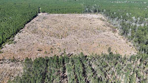 20 Acres of Recreational Land for Sale in Gurdon, Arkansas