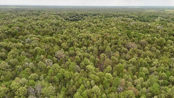 40 Acres of Recreational & Residential Land for Sale in Coleman, Michigan