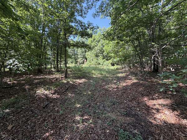 5 Acres of Residential Land for Sale in Raymondville, Missouri