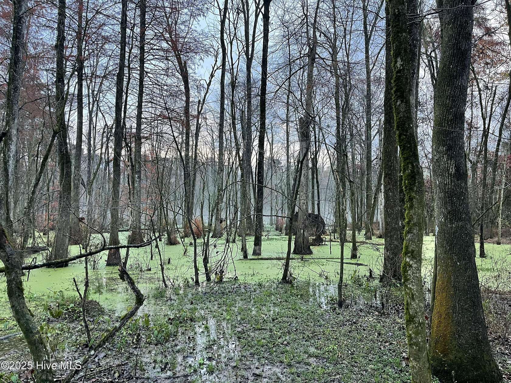 65 Acres of Recreational & Residential Land for Sale in Kenansville, North Carolina