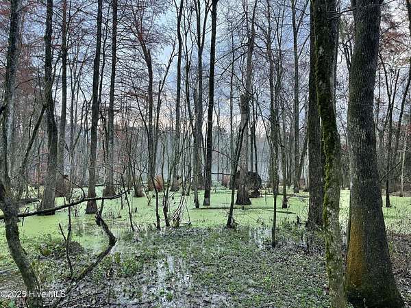 65 Acres of Recreational & Residential Land for Sale in Kenansville, North Carolina