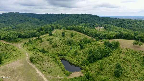 110 Acres of Land for Sale in Whitesburg, Tennessee