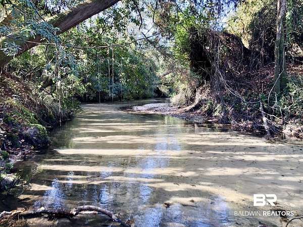 35 Acres of Recreational Land for Sale in Robertsdale, Alabama