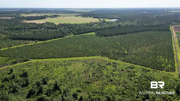 560 Acres of Land for Sale in Elberta, Alabama