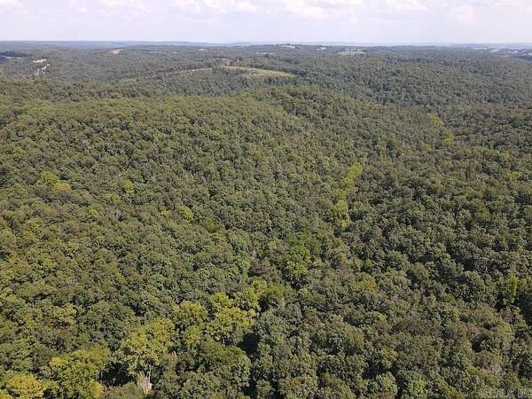81 Acres of Recreational Land for Sale in Pyatt, Arkansas