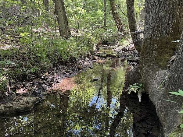 78 Acres of Recreational Land for Sale in Yellville, Arkansas