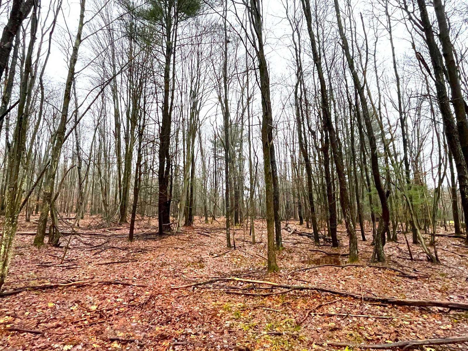 4.85 Acres of Land for Sale in Olean, New York