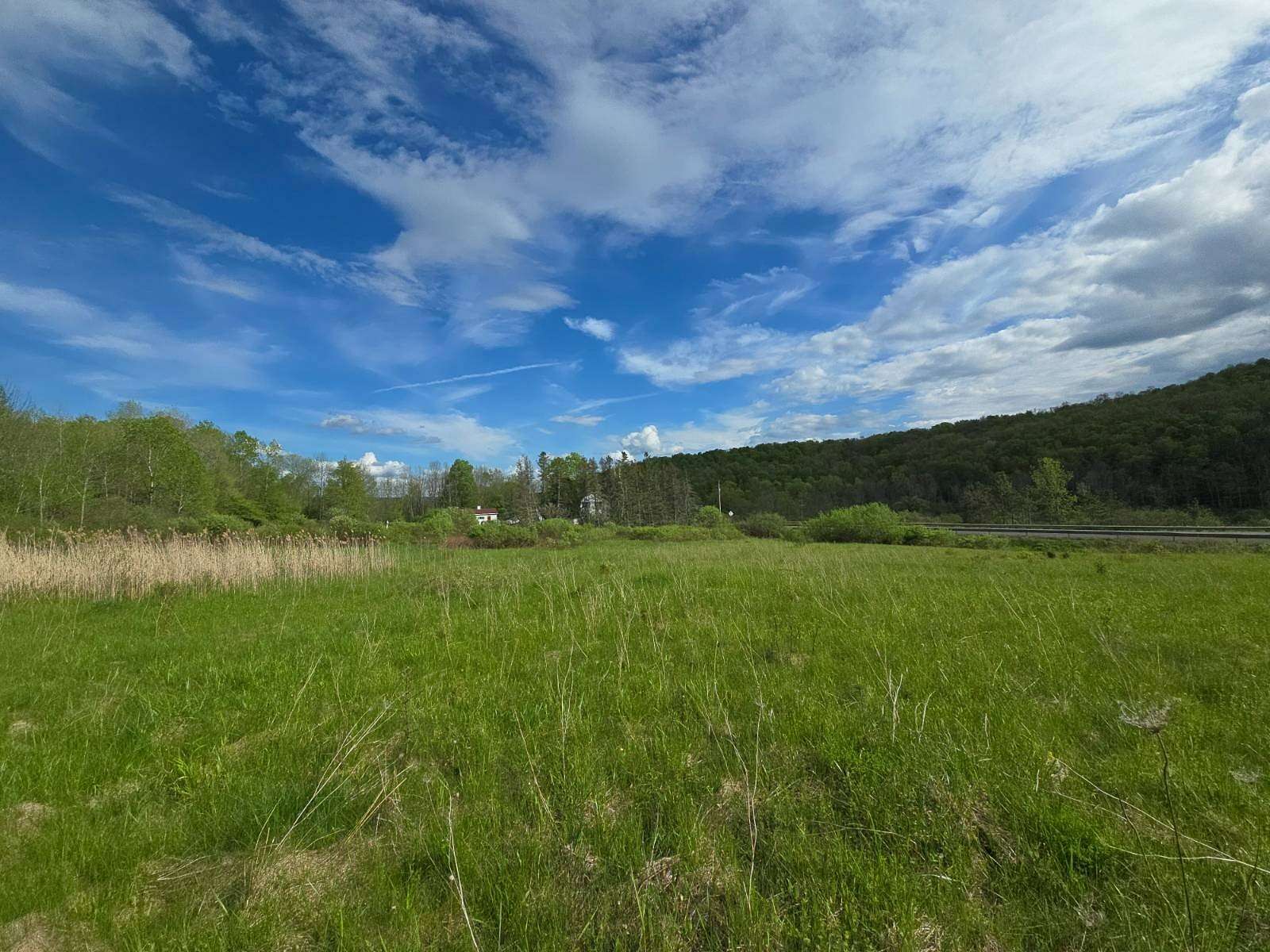 58.5 Acres of Recreational & Residential Land for Sale in Norwich, New York