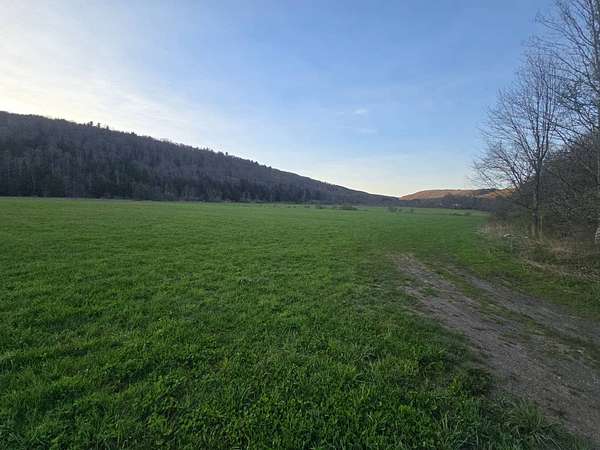 59.2 Acres of Land for Sale in Otselic, New York