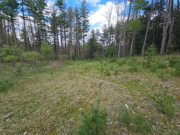21.7 Acres of Recreational & Residential Land for Sale in Harpursville, New York