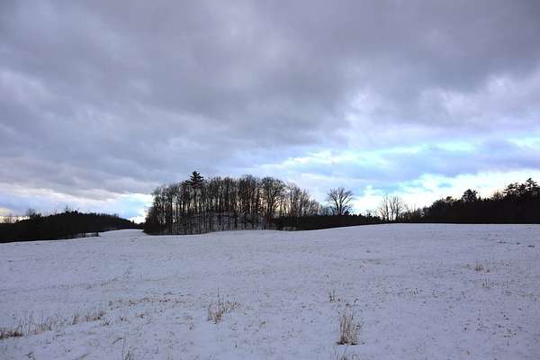 76.1 Acres of Land for Sale in Whitehall, New York
